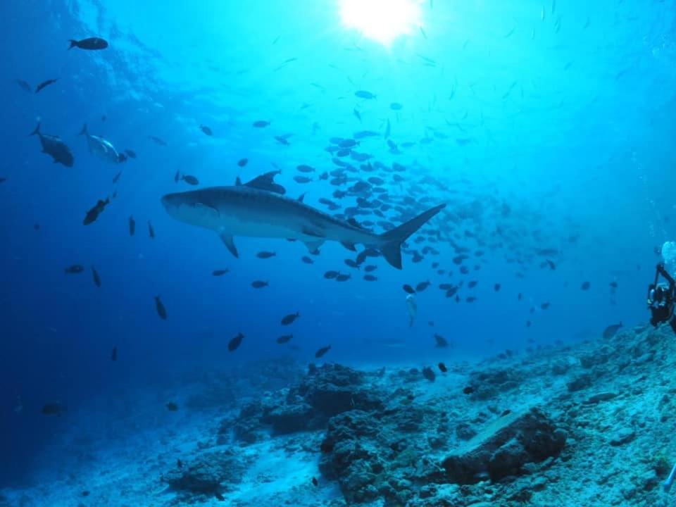 Endhaa, Divers Home Fuvahmulah Exteriér fotografie