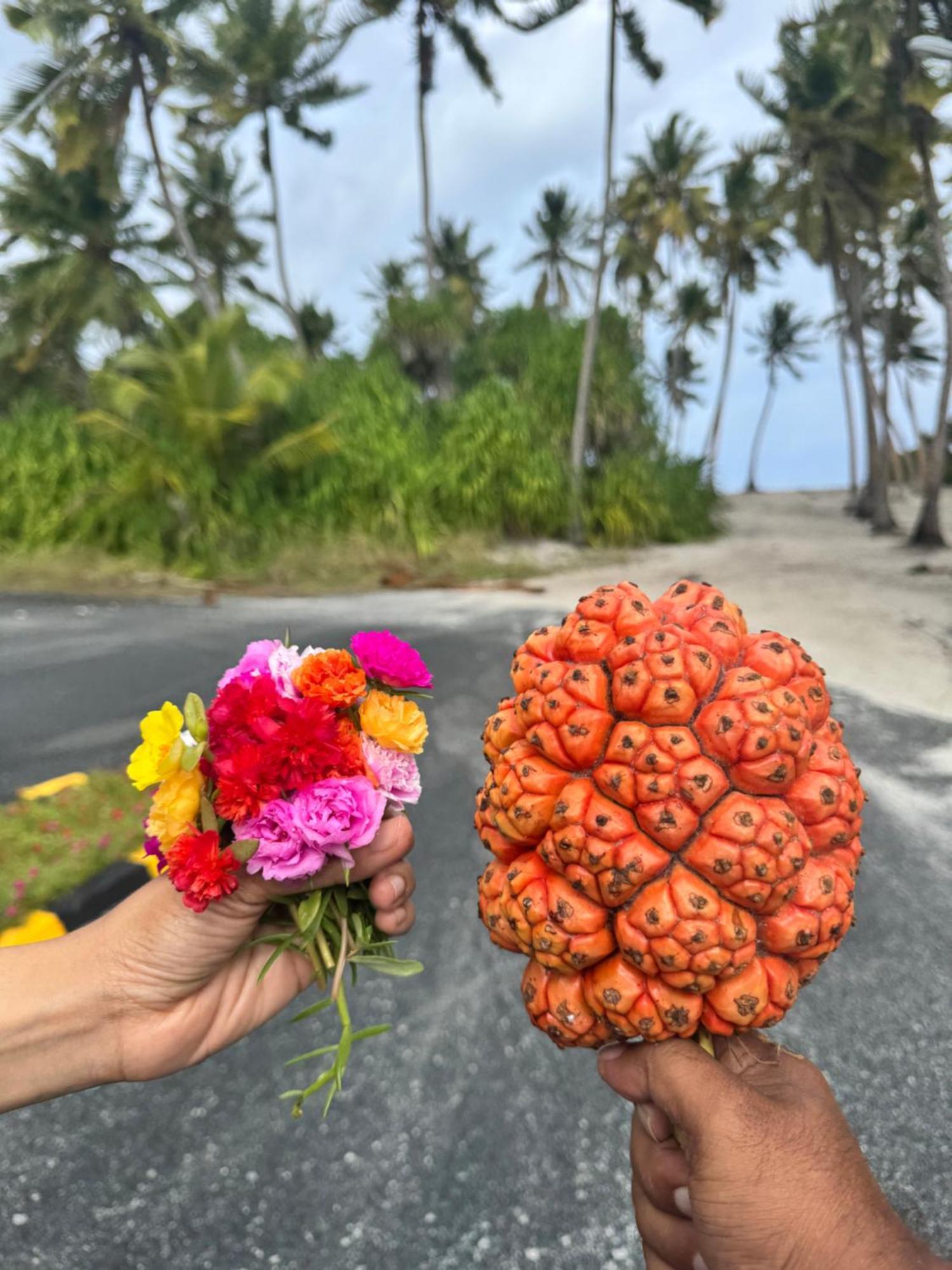 Endhaa, Divers Home Fuvahmulah Exteriér fotografie